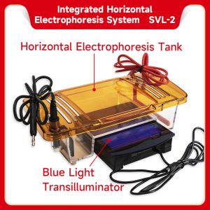 Cubeta Horizontal Electroforesis + Transiluminador