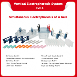Cubeta de electroforesis vertical BVE4