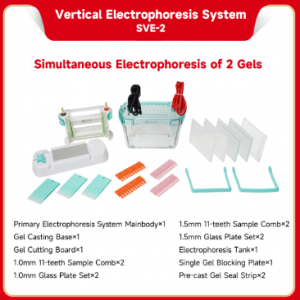 Cubeta de electroforesis vertical SVE2